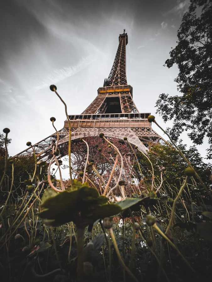 Les Racines de La Dame de Fer